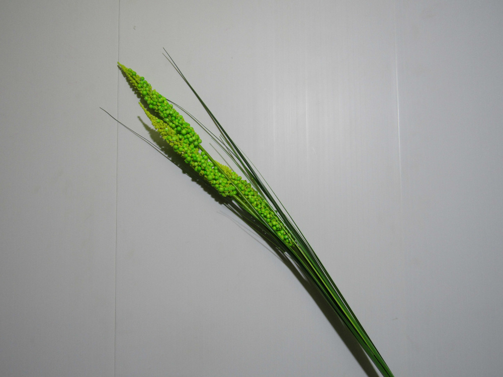 Колоски искусственые декоративные 1,1м зеленые (S1759/4)